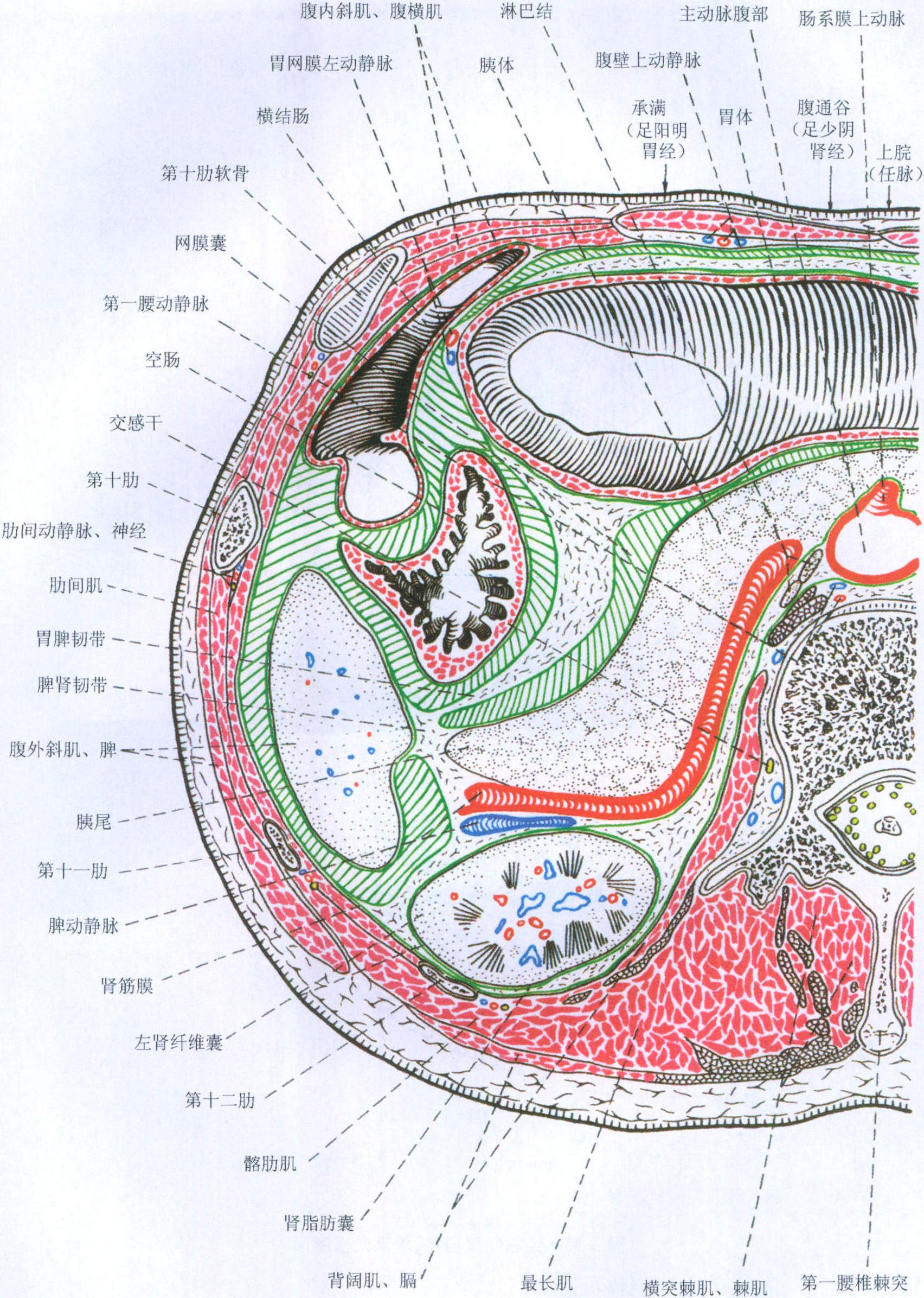 38.腹通谷